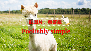 一起来猜词——# foolishly simple